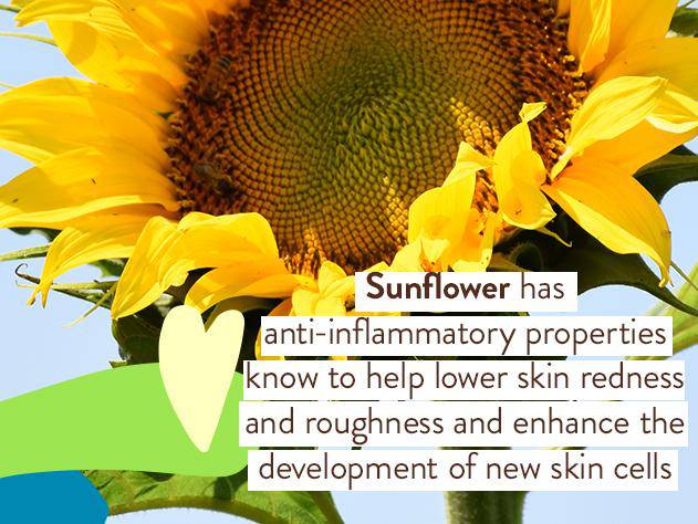 Sensitive Baby Mineral Sunscreen Spray SPF30 - Image 4