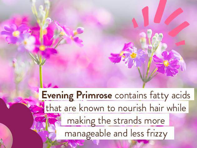 Smoothing Berry & Primrose Conditioning Spray - Image 6
