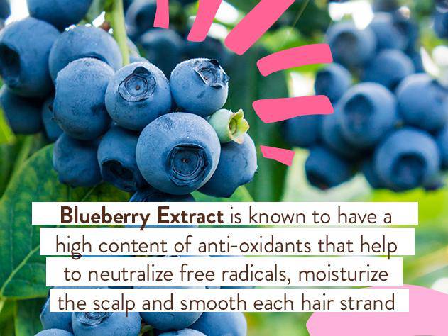 Smoothing Berry & Primrose Conditioning Spray - Image 7